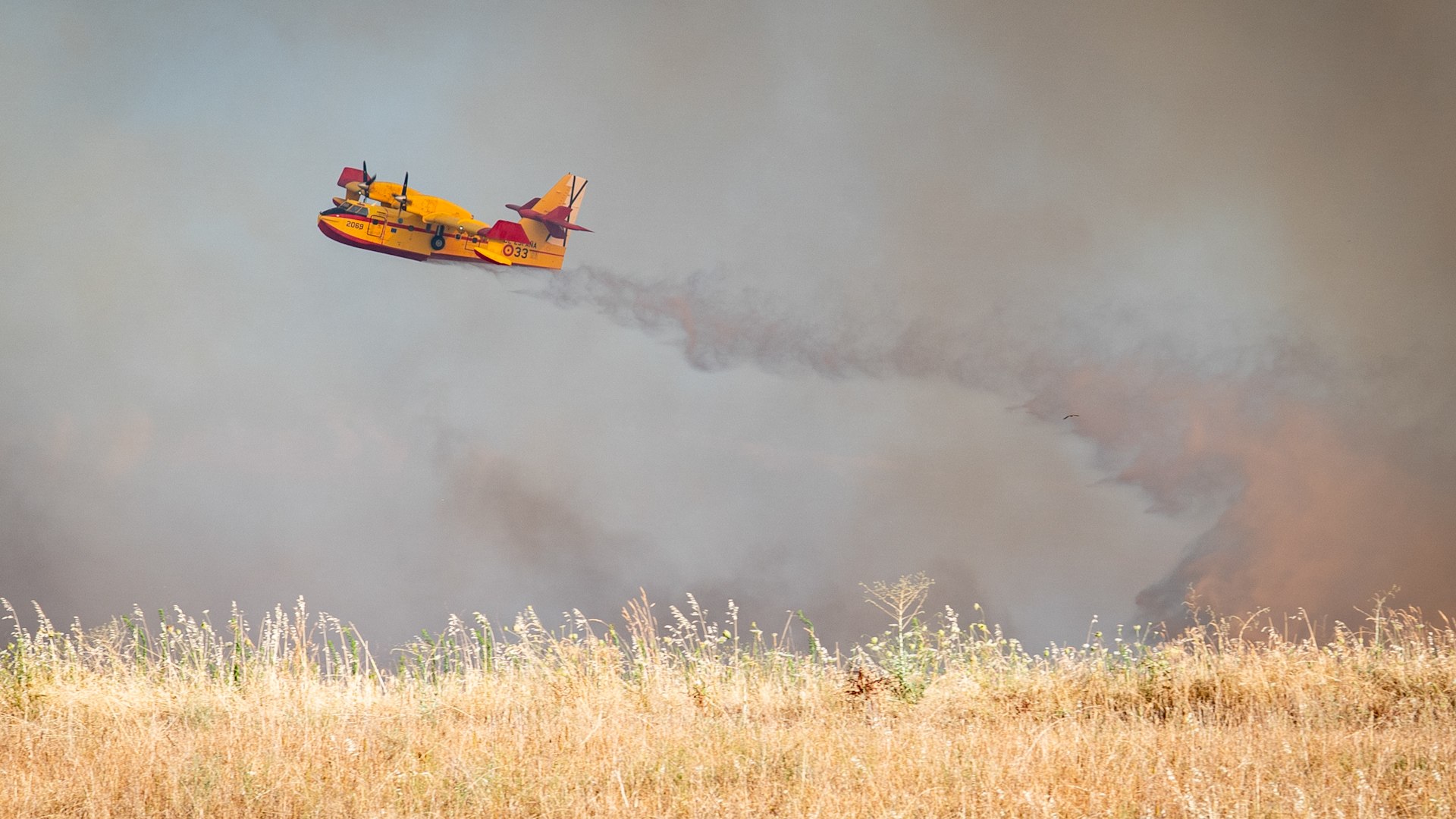 El incendio forestal declarado en M�ntrida (Toledo), que ha afectado a la urbanizaci�n Calypo Fado y ha generado preocupaci�n hasta zonas cercanas a Madrid, ya se encuentra controlado y perimetrado, seg�n fuentes oficiales del 112 Castilla-La Mancha.

El fuego oblig� a cortar la autov�a A-5 al tr�fico el jueves a las 19:00 horas, pero fue reabierta a la circulaci�n durante la madrugada del viernes, a las 02:00 horas.

Durante toda la noche, los servicios de emergencia han trabajado intensamente en el per�metro del incendio, con especial atenci�n al flanco izquierdo, una zona complicada por el terreno escarpado y de dif�cil acceso para los equipos terrestres.