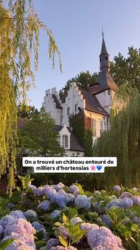 On a trouvé un château incroyable avec des milliers d’hortensias 🌸