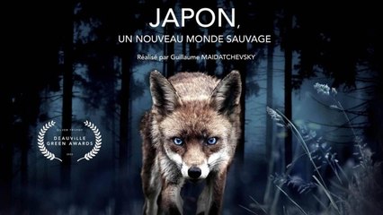 Japon, un nouveau monde sauvage