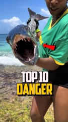 TOP 10 DES ANIMAUX MARINS LES PLUS 💀💀