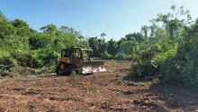 The Efficiency of the D6R XL Bulldozer in Clearing Thick Shrub Plantations