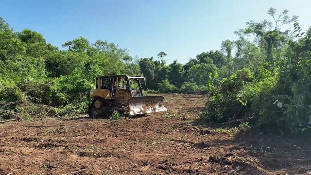 The Efficiency of the D6R XL Bulldozer in Clearing Thick Shrub Plantations