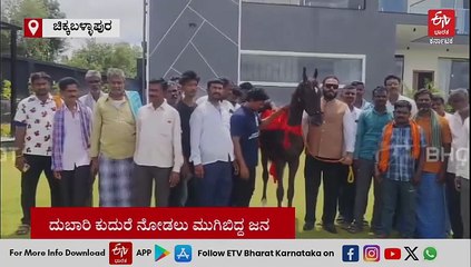 ಇದು ಅಂತಿಂಥ ಕುದುರೆಯಲ್ಲ: ಬರೋಬ್ಬರಿ 1 ಕೋಟಿ 11 ಲಕ್ಷ ಮೌಲ್ಯದ ರೋಲೆಕ್ಸ್ ಹಾರ್ಸ್​: ಅಶ್ವ ನೋಡಲು ಮುಗಿಬಿದ್ದ ಜನ