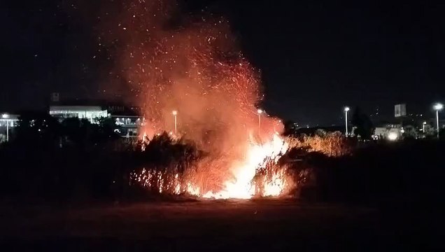 Incendio en unos matorrales y cañas al lado del río Besòs de madrugada