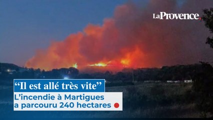 “Il est allé très vite” : l’incendie à Martigues a parcouru 240 hectares