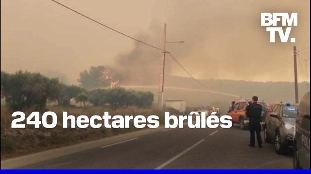 Incendie à Martigues: les pompiers des Bouches-du-Rhône face à un feu virulent
