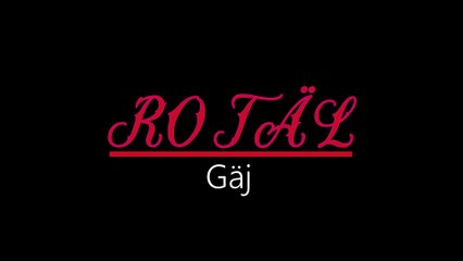Rotäl ¦ Gäj (officiäl audió)