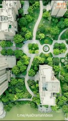 Reborn to Fly - All Episodes - CN - ReelShort - #abel