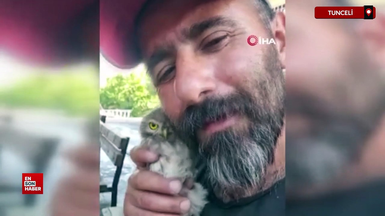 Tunceli'de yavru baykuş, kendisini seven vatandaştan ayrılmak istemedi