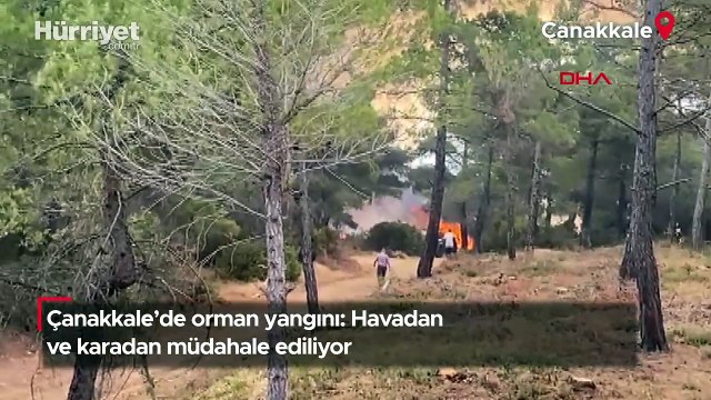 Çanakkale'de orman yangını: Havadan ve karadan müdahale ediliyor