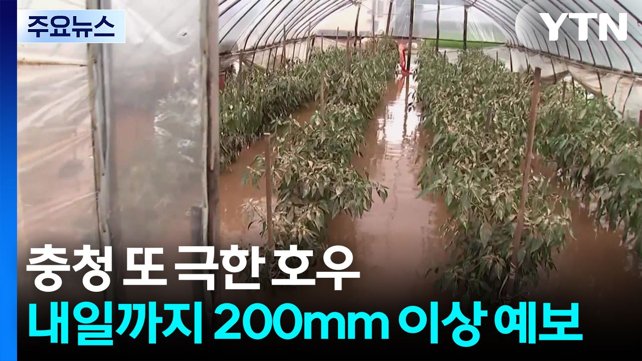 충청 또 극한 호우, 내일까지 200mm...이 시각 대전 / YTN