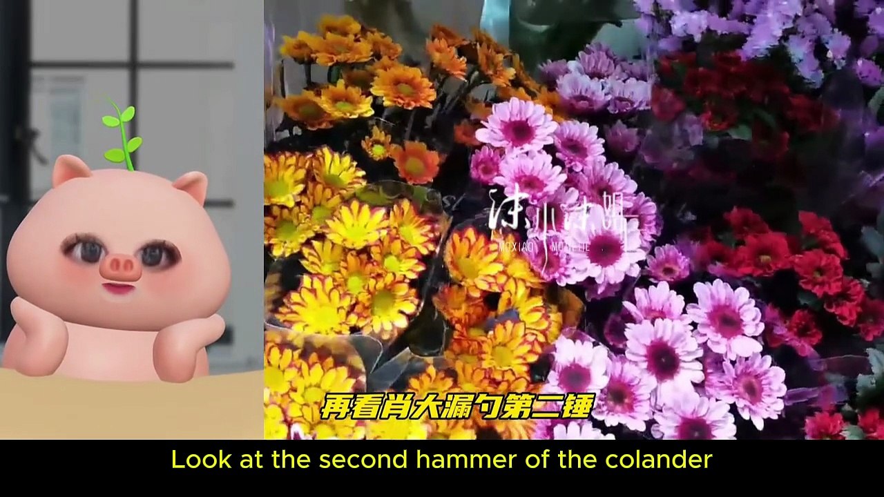 Sugar Overload! Behind-the-Scenes of Xiao Zhan’s Move & Camp Revealed✨