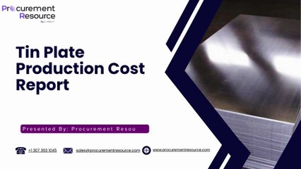Tin Plate Production Cost Report