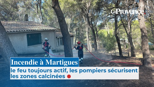 Incendie à Martigues : le feu toujours actif, les pompiers sécurisent les zones calcinées
