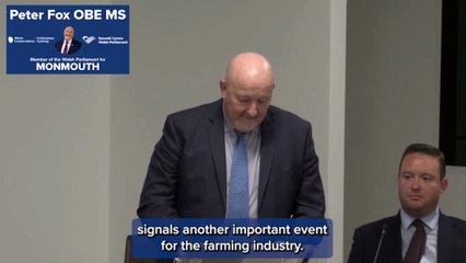 PETER FOX view from Senedd