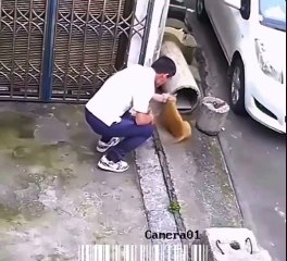 Bu caniyle maalesef aynı havayı soluyoruz! Sevme bahanesiyle kedinin yanına yaklaştı, sonrasında olanlar “Yok artık” dedirtti
