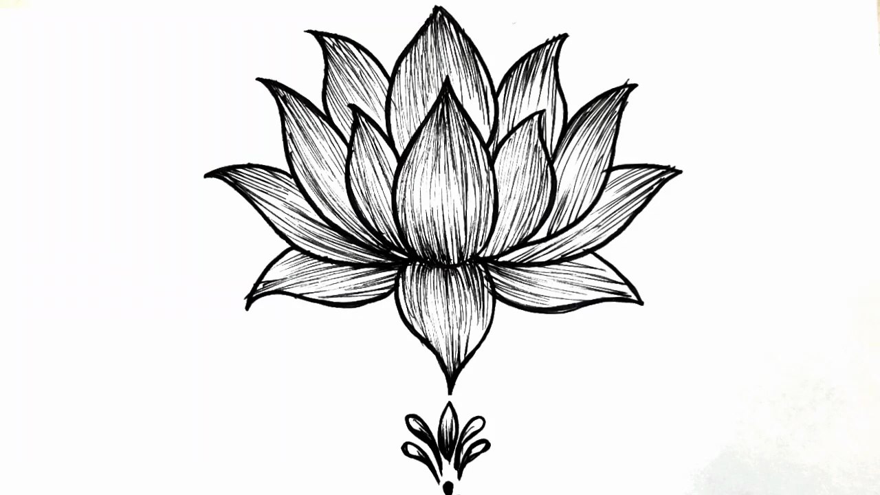 How to draw a flower easy step-by-step - Lotus flower drawing