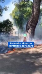 Incendio al parco Miralfiore di Pesaro: video