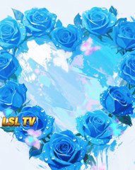 🌹 Title :” Roses in Bloom – Nature’s Purest Expression of Love”