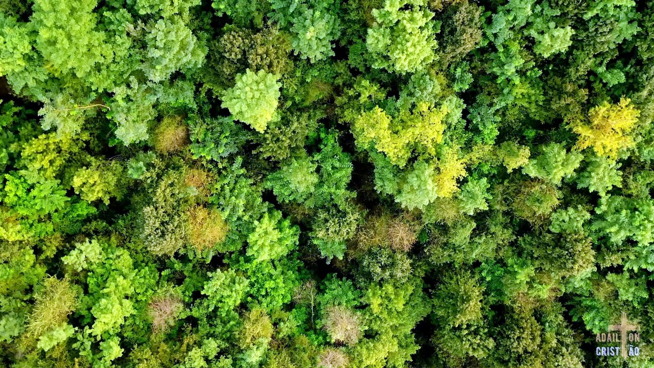 EU VENCEREI | Laíssa cantando AO VIVO em  Momentos no Tabernáculo da Fé em Goiânia - GO - Brasil