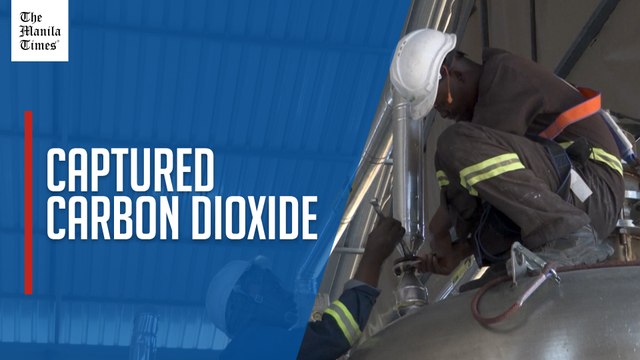 Kenyan start-up generates carbon credits from thin air