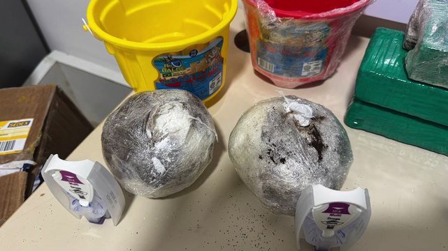 apreensão recorde de drogas nos Correios de Recife: remessa milionária vinda de São Paulo tinha destino o interior de Pernambuco