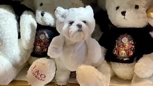 find the difference maltese dog vs plush teddy bears 🐶🧸 adorable clip!