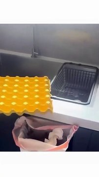 Une femme s’absente pendant 2 jours et rentre chez elle pour découvrir 70 poussins éclos à partir d’œufs de supermarché laissés sur le comptoir