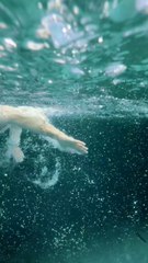 this darma is coming soon...