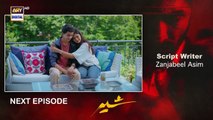 Sher Upcoming Episode 19 _ Danish Taimoor _ Sarah Khan _ 17 JULY 2025_HD