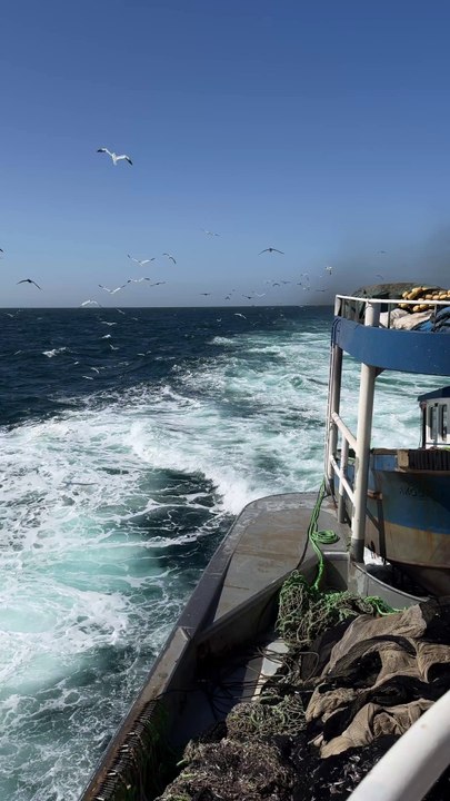 Nature , Ocean and Fishing