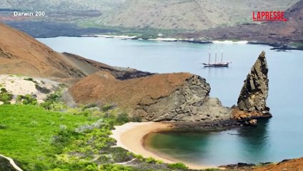 Galapagos, un veliero del 1918 sulle tracce della Beagle di Darwin