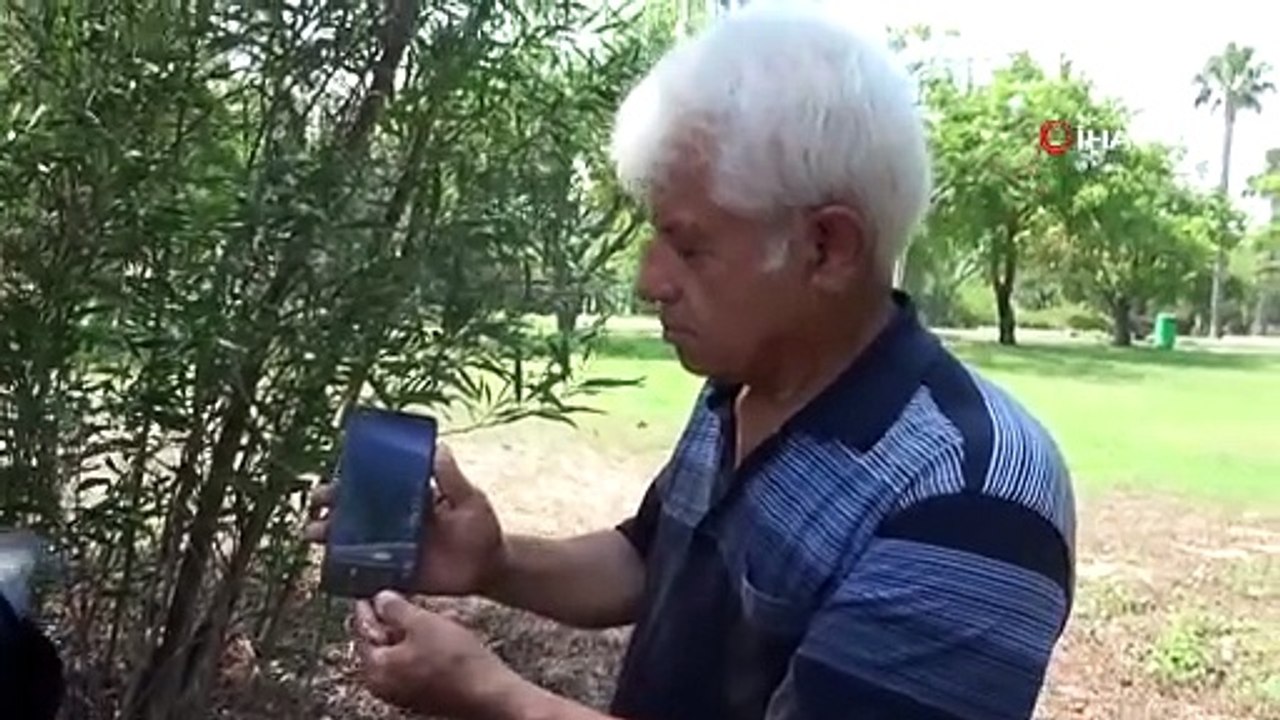 Kemer sahilinde asılsız dev köpekbalığı paylaşımına suç duyurusu