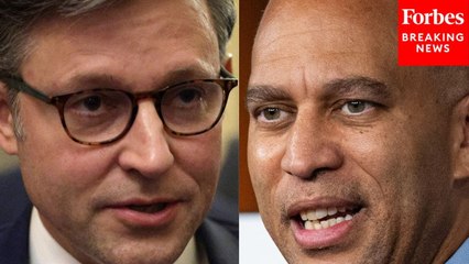 Reporter Asks Jeffries About Rescissions Bill Vote: 'Do You Expect Any Delay Tactics Tonight?'