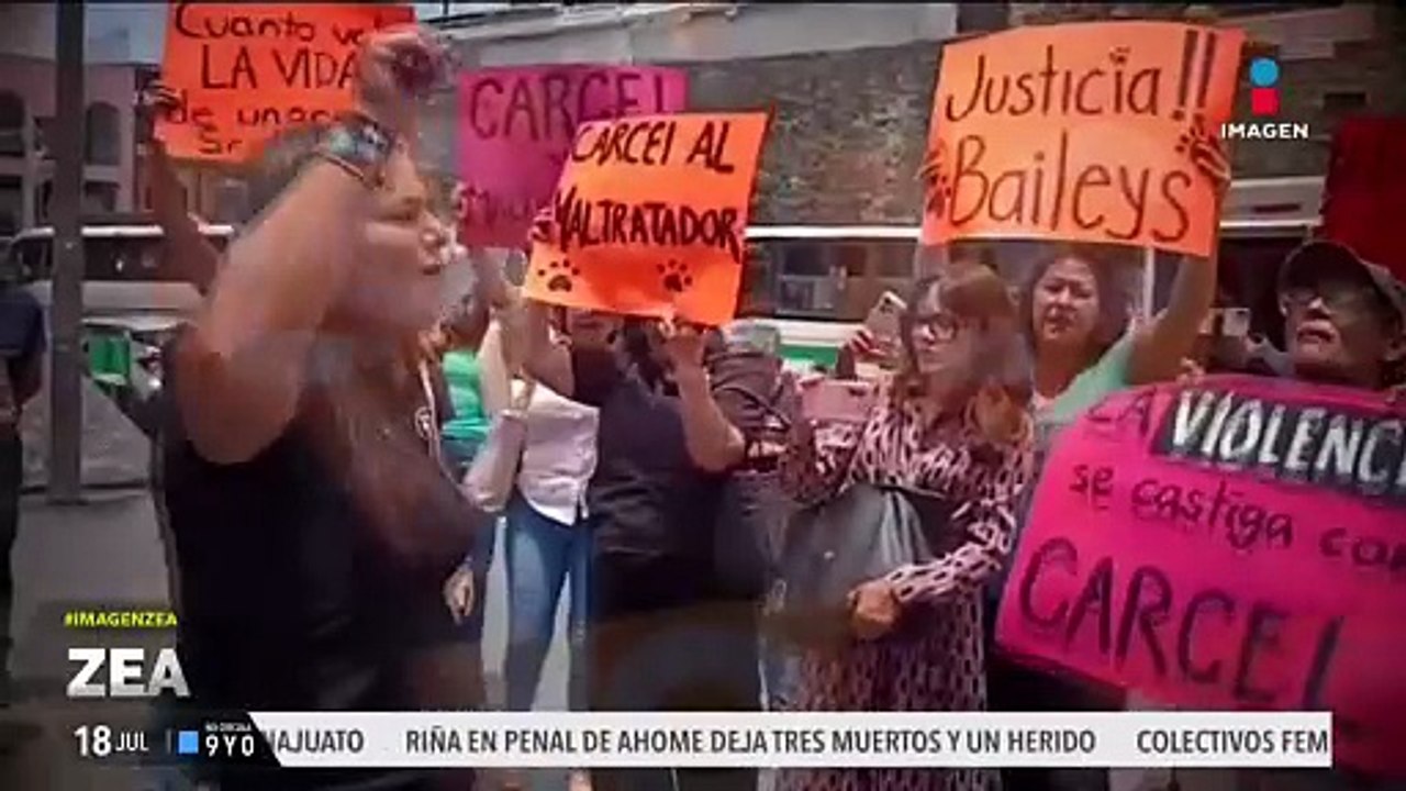 Justicia para Baileys, perrito que murió a causa de una paliza que le propinó su dueño