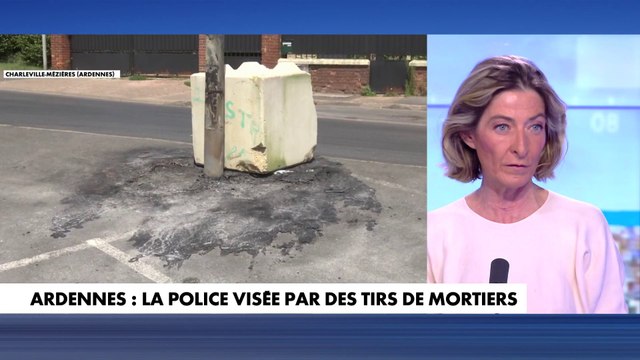 Céline Pina : «Les peines planchers deviennent absolument nécessaires.»