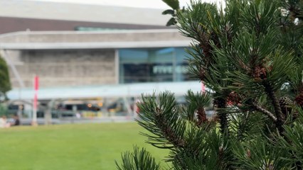 Green Flag Status for Liverpool Parks