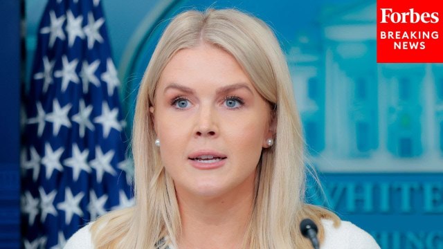 Karoline Leavitt Doubles Down That Donald Trump 'Does Not Support Amnesty' For Illegal Immigrants