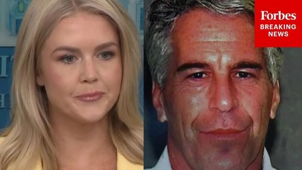 Watch All The Epstein Files Questions Karoline Leavitt Took At White House Press Briefing