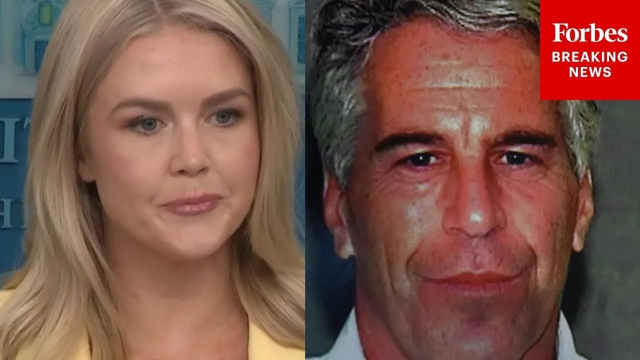Watch All The Epstein Files Questions Karoline Leavitt Took At White House Press Briefing