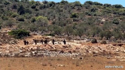 Cisgiordania, scontri fra palestinesi ed esercito israeliano