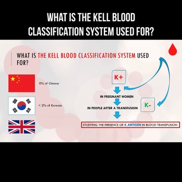 What is the Kell blood classification system used for?