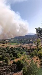 Vista del avance del fuego desde San Juan de la Nava