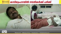 കോഴിക്കോട് കാട്ടാന ആക്രമണത്തിൽ ദമ്പതികൾക്ക് പരിക്ക്