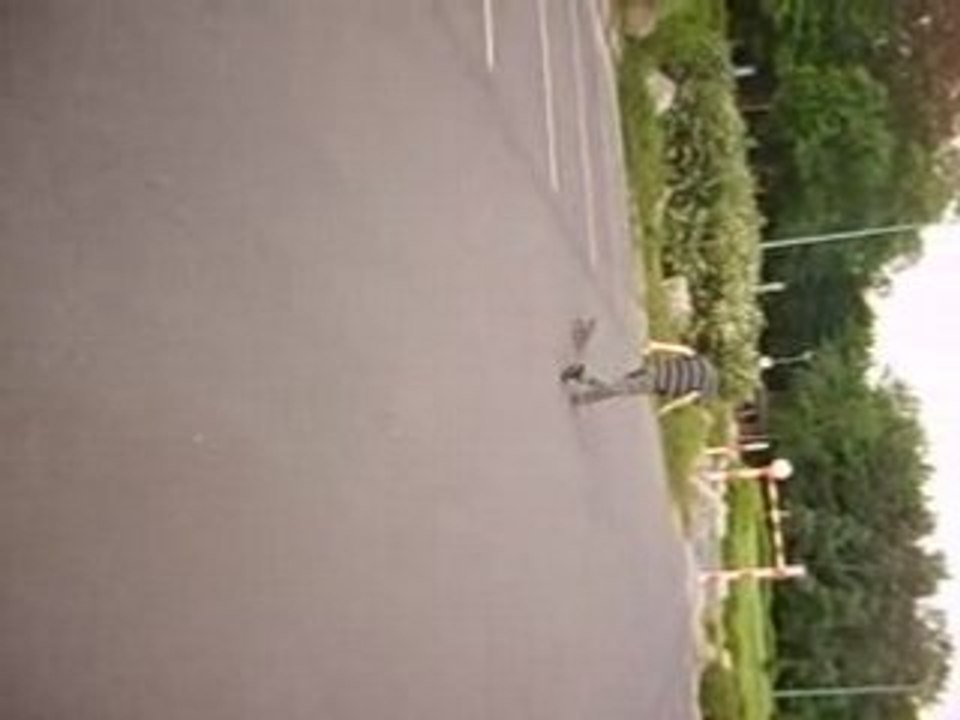 tentative de kickflip........raté^^