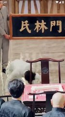 King Of Mahjong Realm S - Full Movie