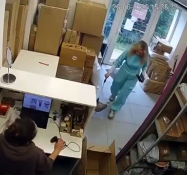 Oh le joli animal de compagnie... une mouette