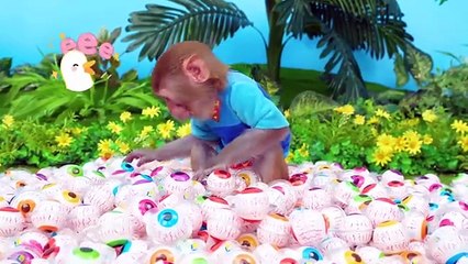 Peter Rabbit - Camping by the Lake _ Cartoons for Kids