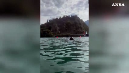 Apnea, Obino a -92 metri: nuovo record mondiale al lago