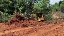 Bulldozer D6R XL Technology Innovation in Plantation Roads